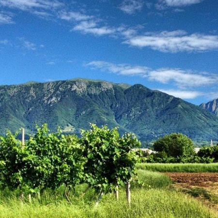 Апартаменты Grappaland Crespano del Grappa Экстерьер фото