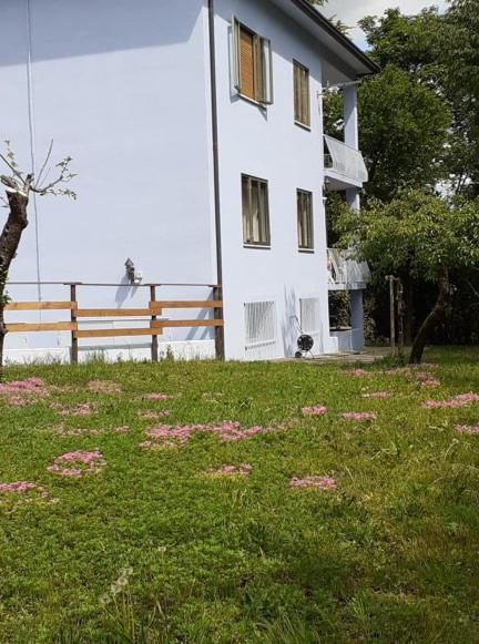 Апартаменты Grappaland Crespano del Grappa Экстерьер фото